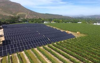 Large ground-mounted solar panel array installed next to a vineyard with a scenic mountain background.